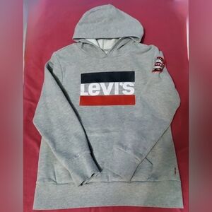 Levi's Gray and Red Logo Hoodie for Boys